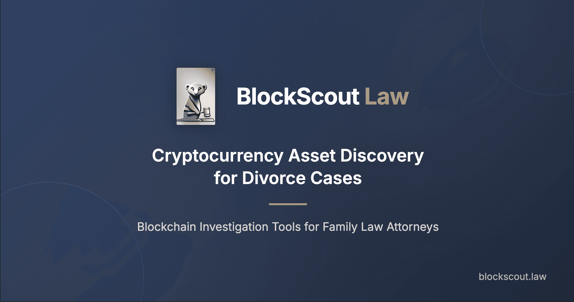 BlockScout Law