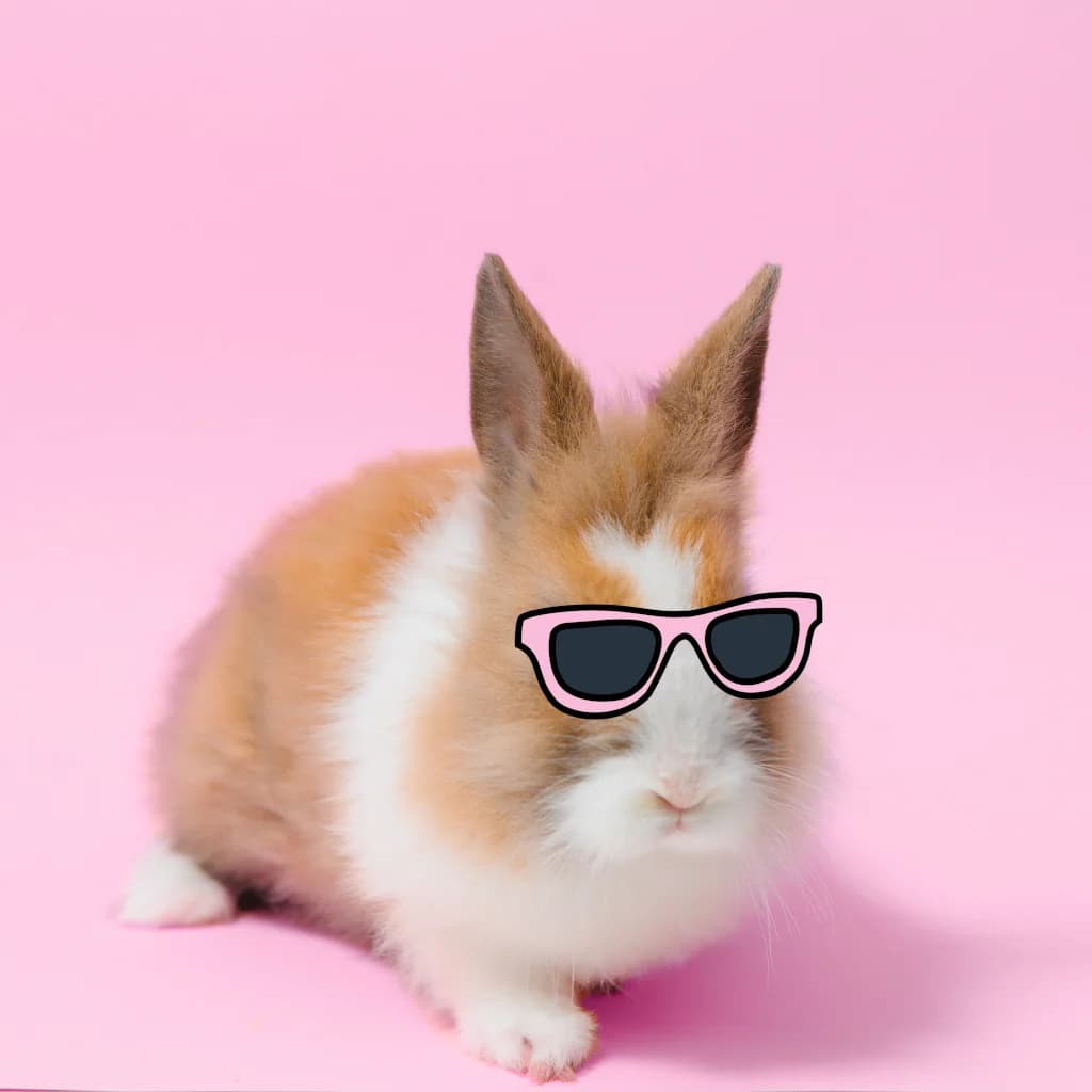 Bunney