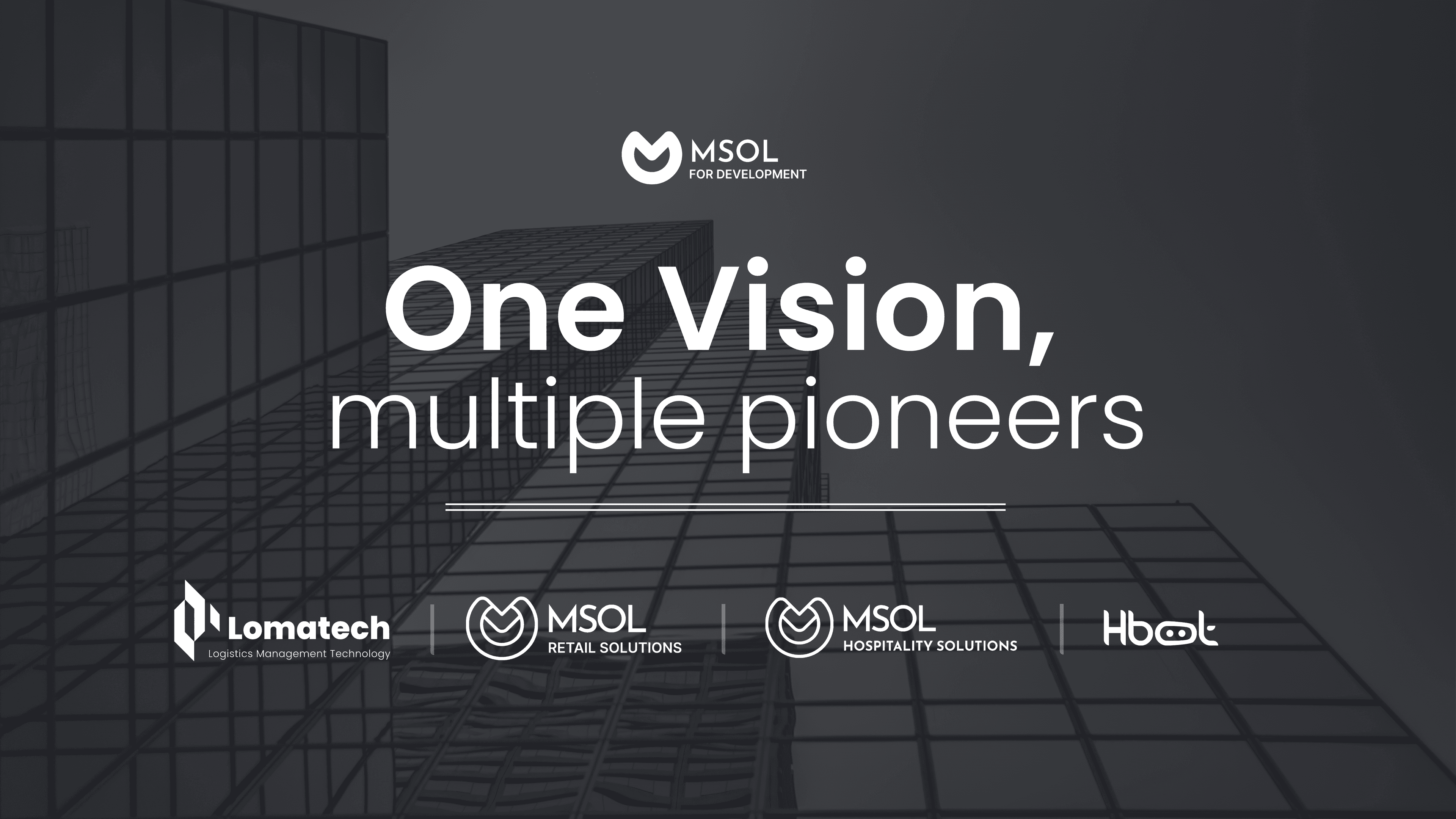 Momentum Solutions Co.