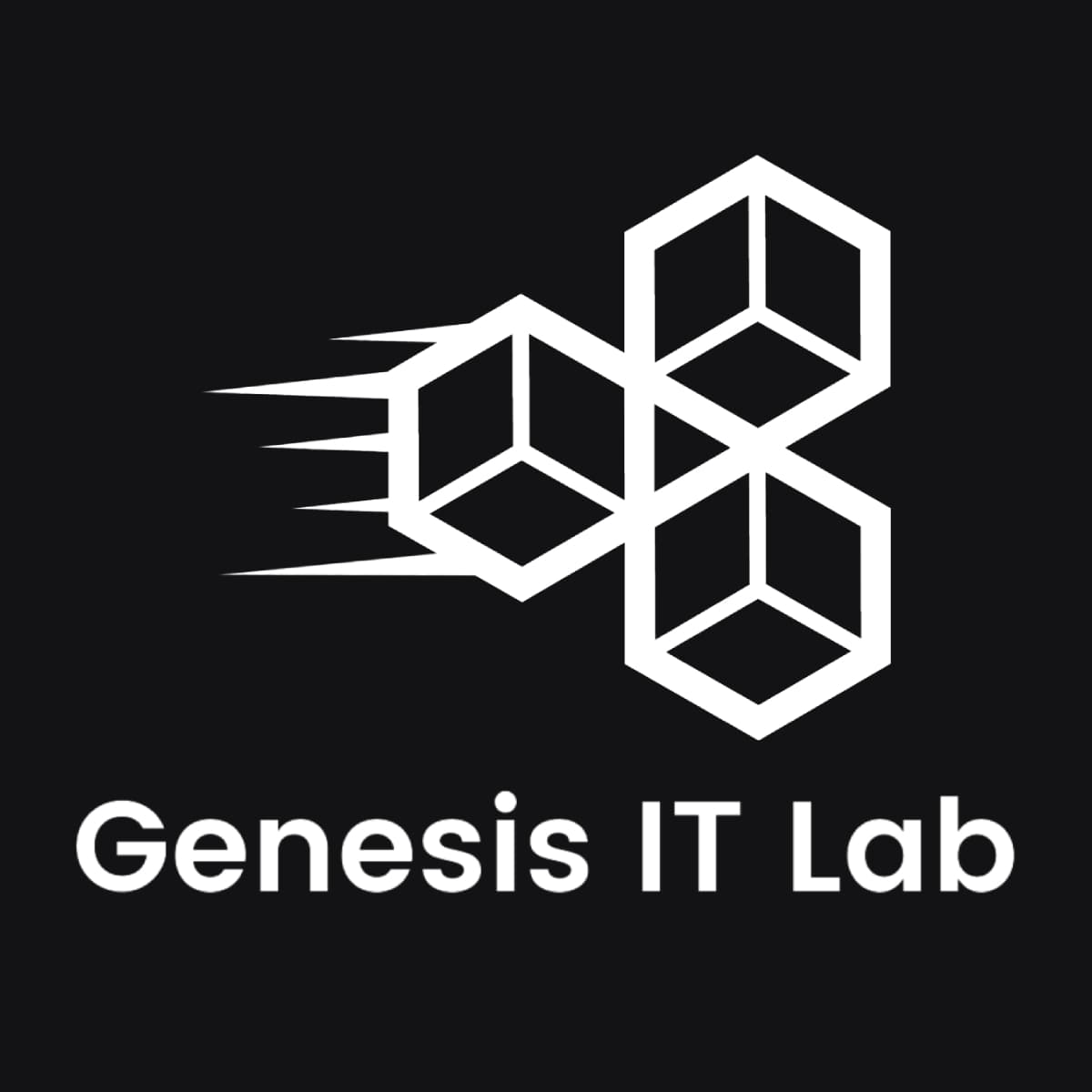 Genesis IT Lab