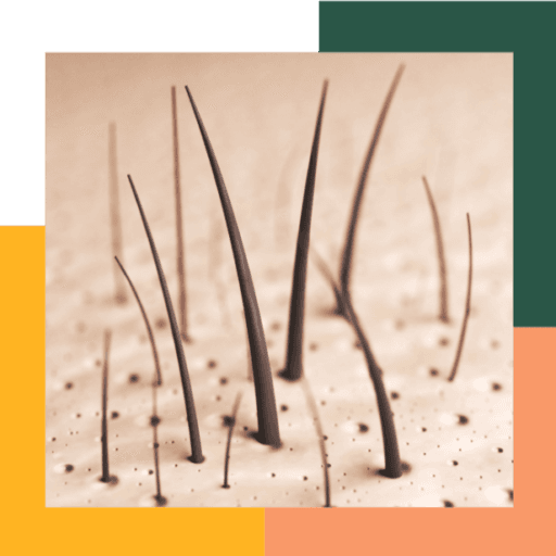 Hairscope