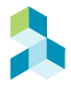 Intelligent Project Solutions