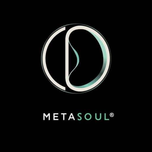 MetaSoul INC