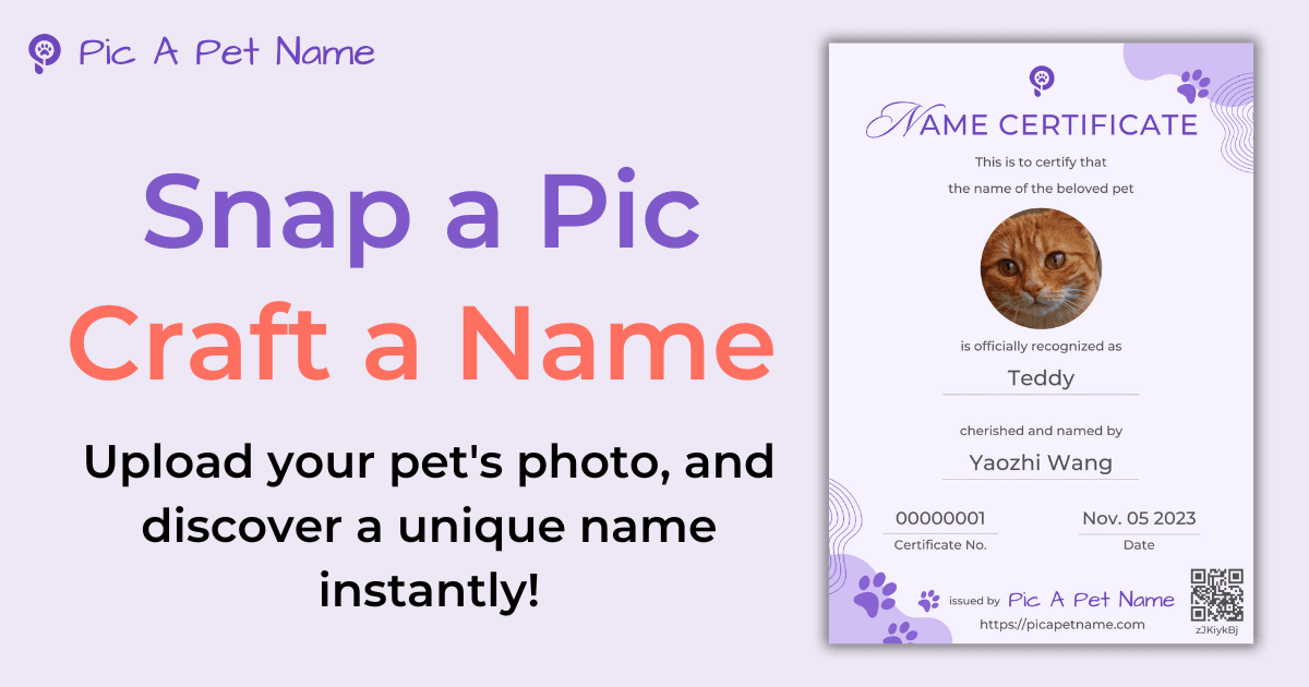Pic A Pet Name