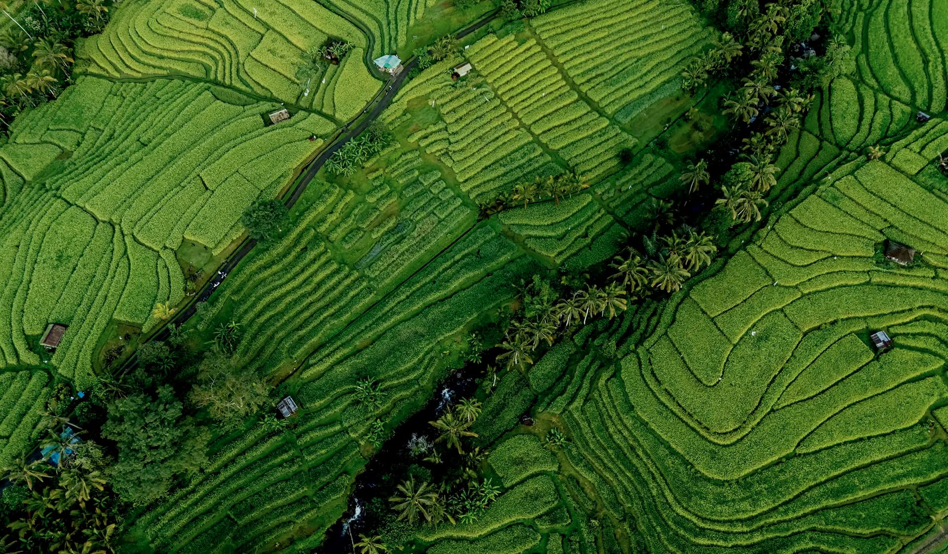 Picterra