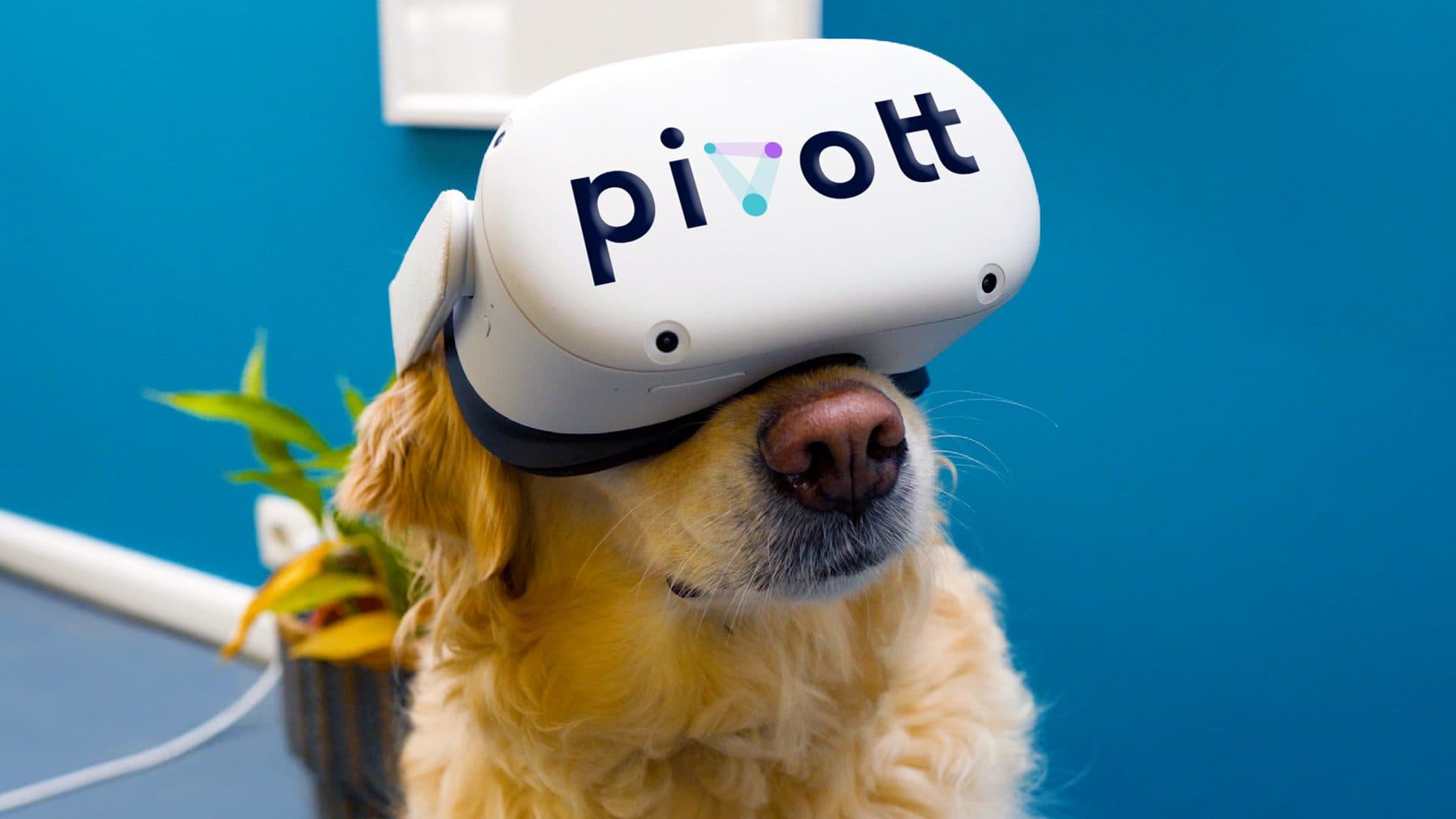PIVOTT