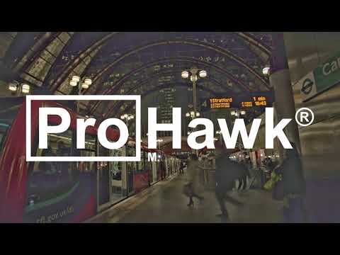 ProHawk AI