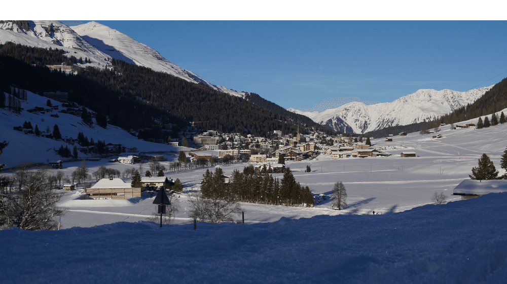Whiteshield