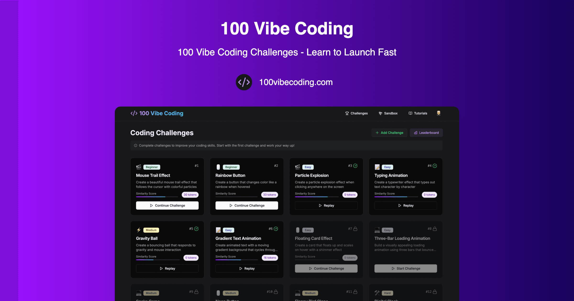 100 Vibe Coding