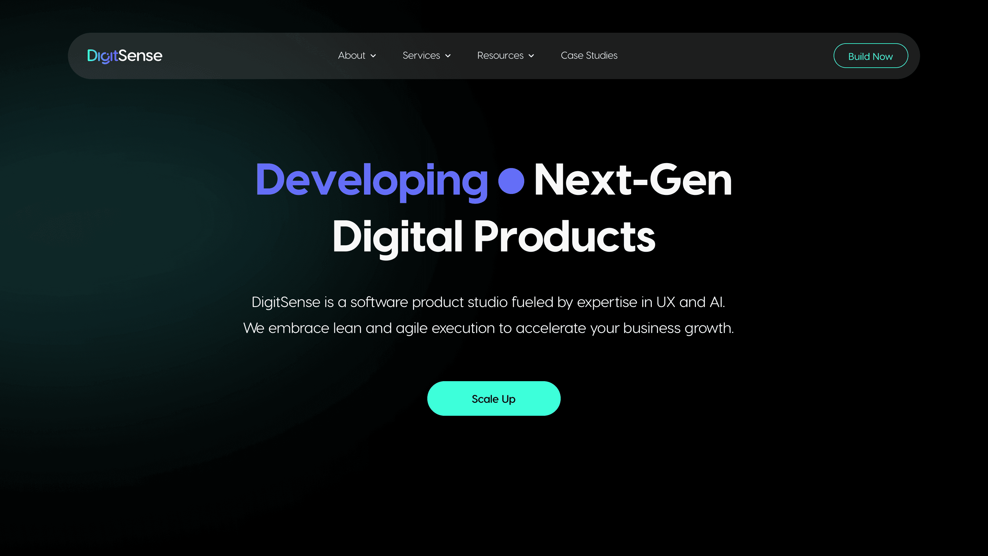 DigitSense