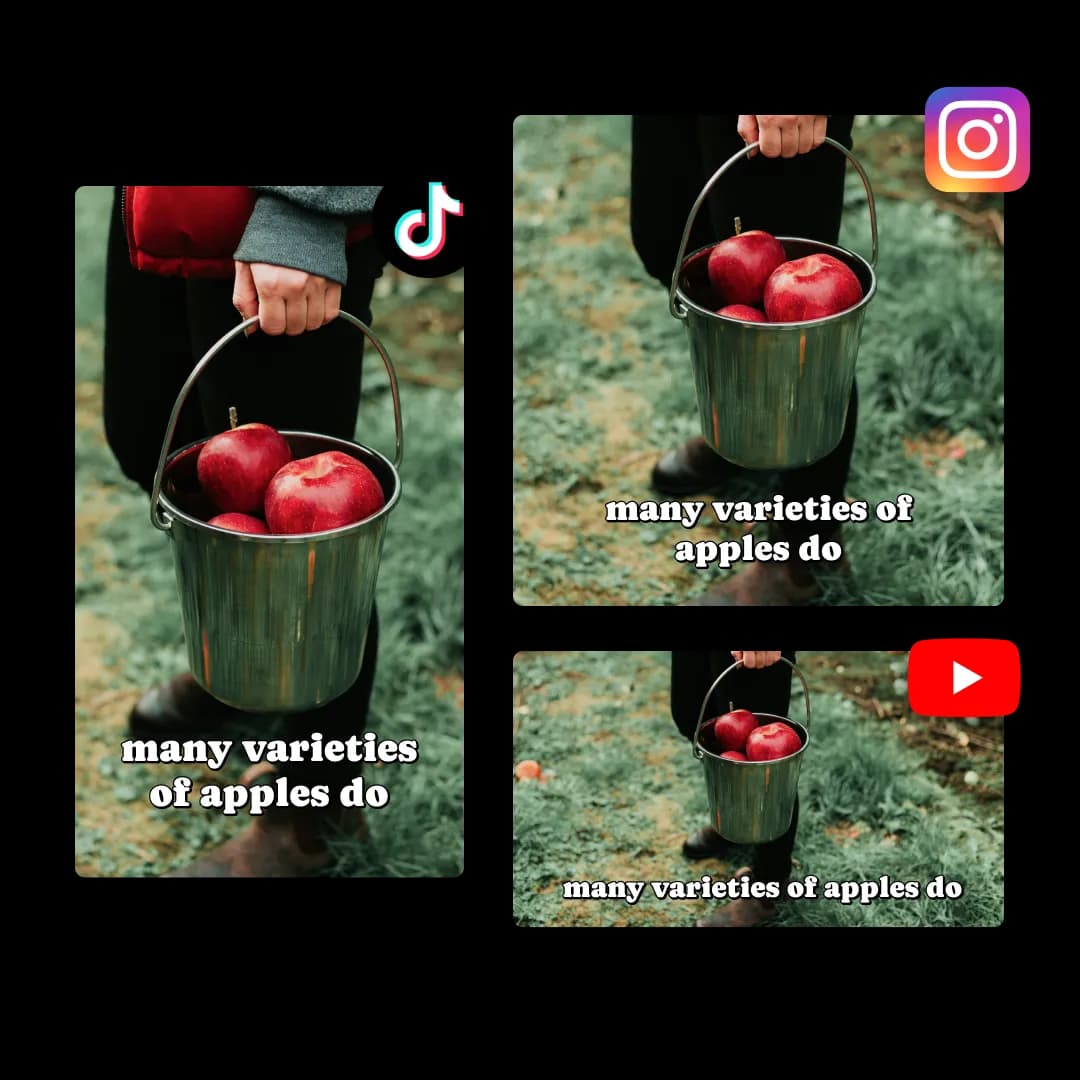 Seedance 2 AI