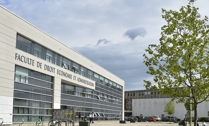 Institute of Digital sciences, Management and Cognition (IDMC)